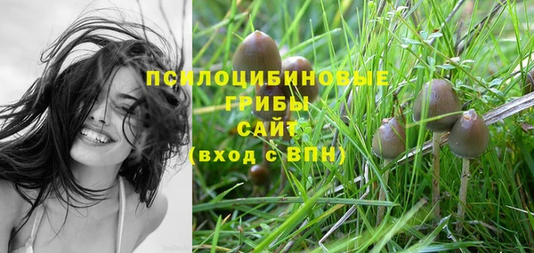 СК Сосновый Бор