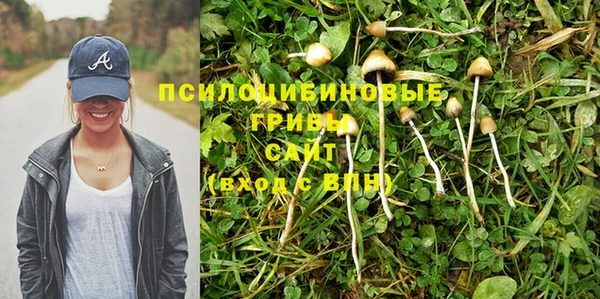 2c-b Белоозёрский