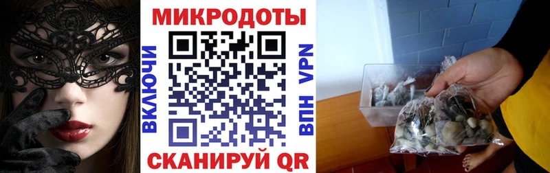 darknet клад  Куйбышев  Псилоцибиновые грибы MAGIC MUSHROOMS 